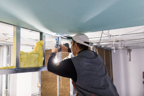 Best Residential Insulation in Cherokee, NC